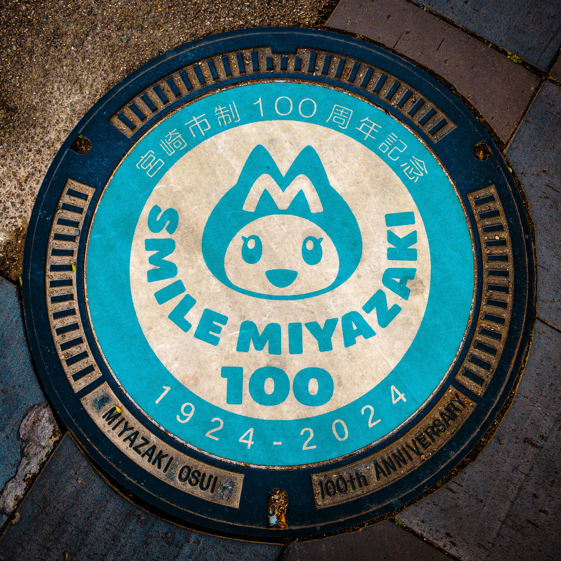 宮崎市にあるみやねこのマンホール