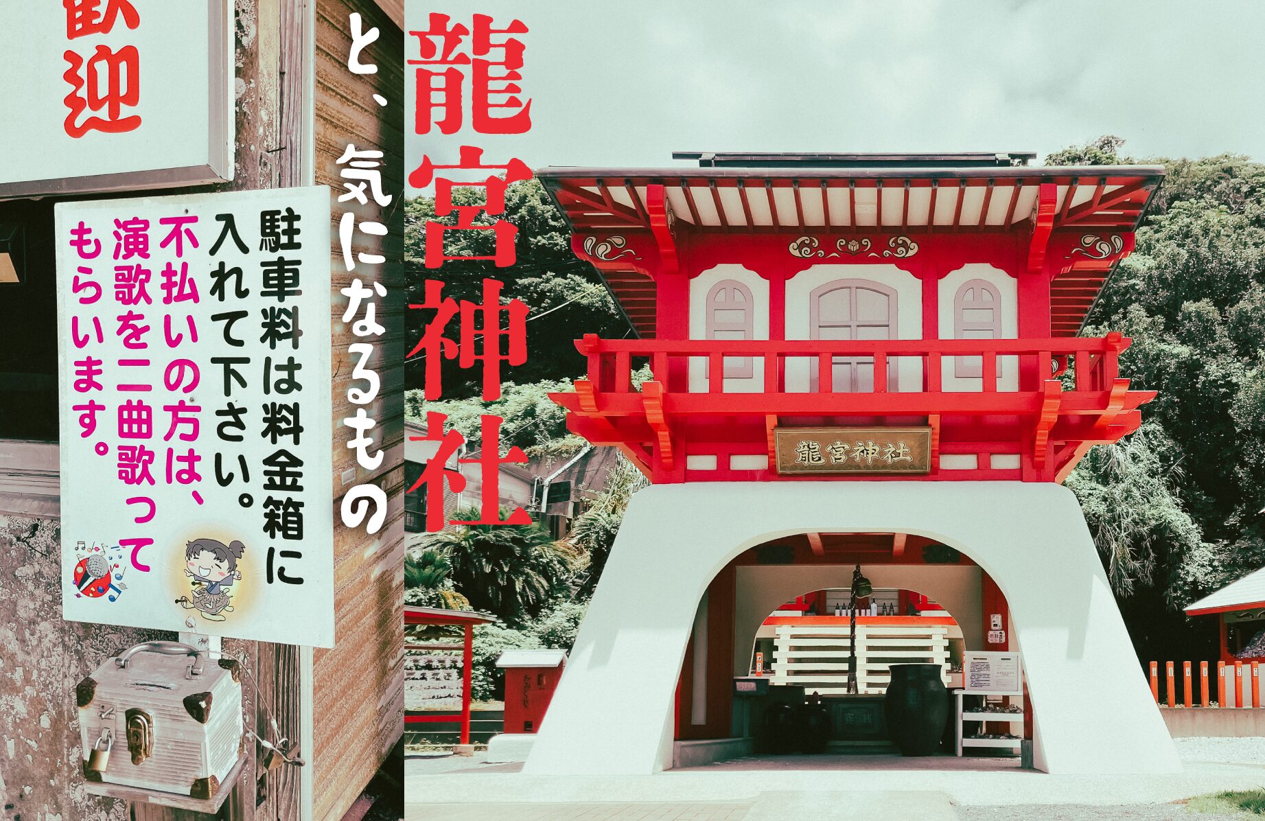 【珍スポット】龍宮神社 と、気になるもの【鹿児島県】