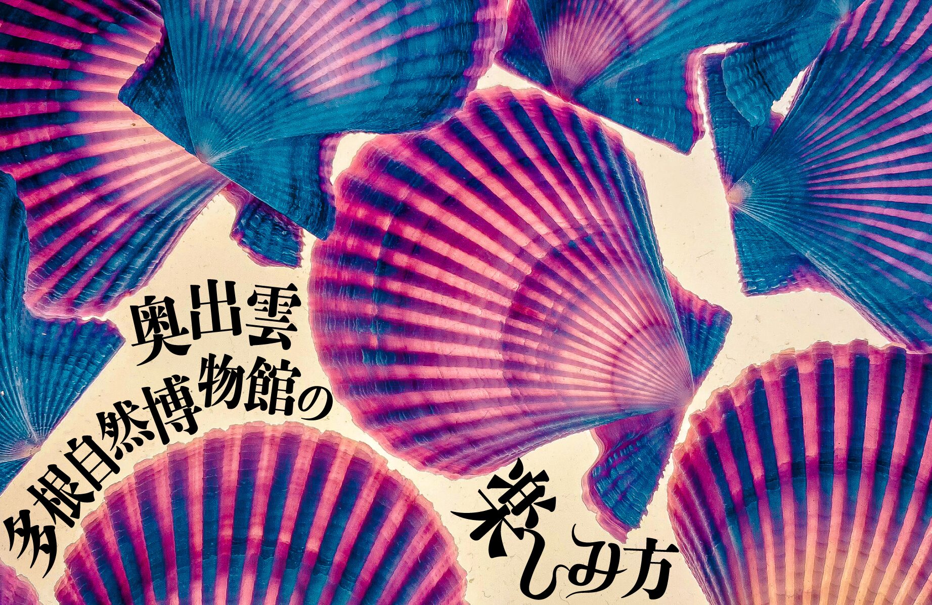 【ディープミュージアム】ハイカラダイブ的 奥出雲多根自然博物館の楽しみ方【島根県】