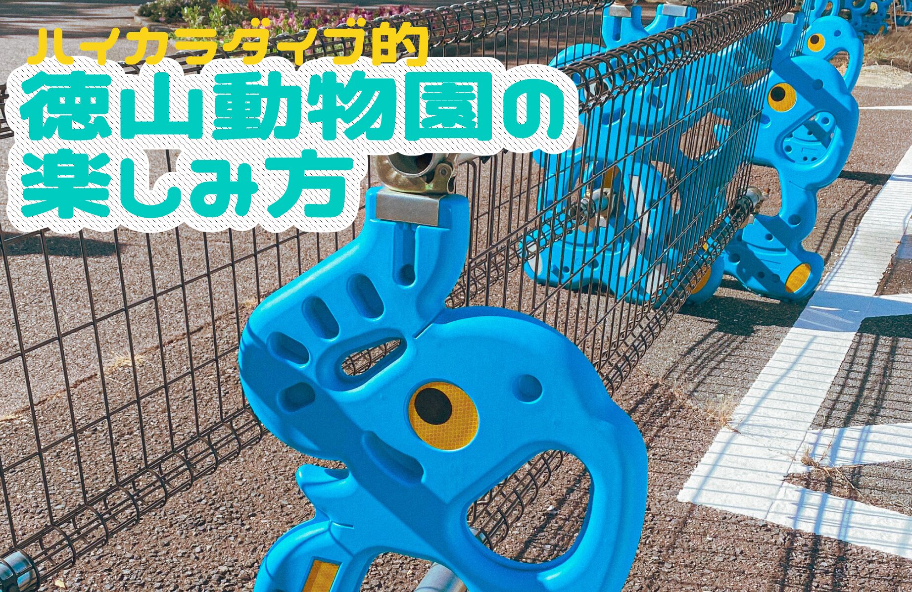 【マンホールにガチャ】ハイカラダイブ的 徳山動物園の楽しみ方【山口県】