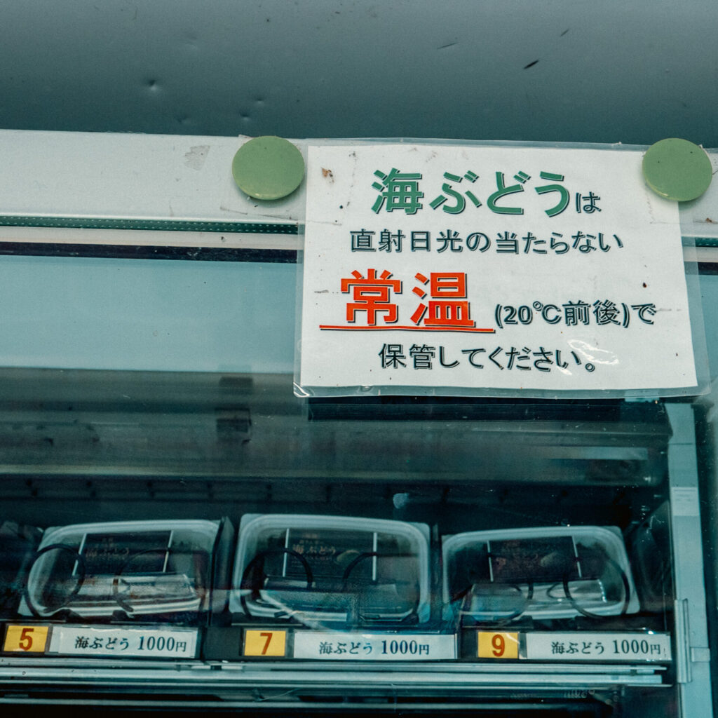 鹿児島県垂水市 海ぶどうの自販機