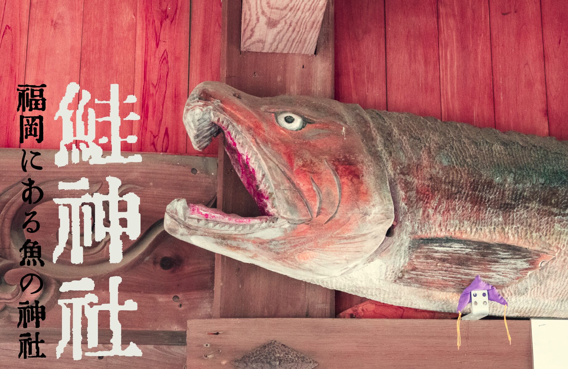 【珍神社】魚の名前の 鮭神社【福岡県】