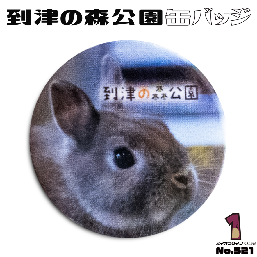 北九州市到津の森公園の缶バッジ