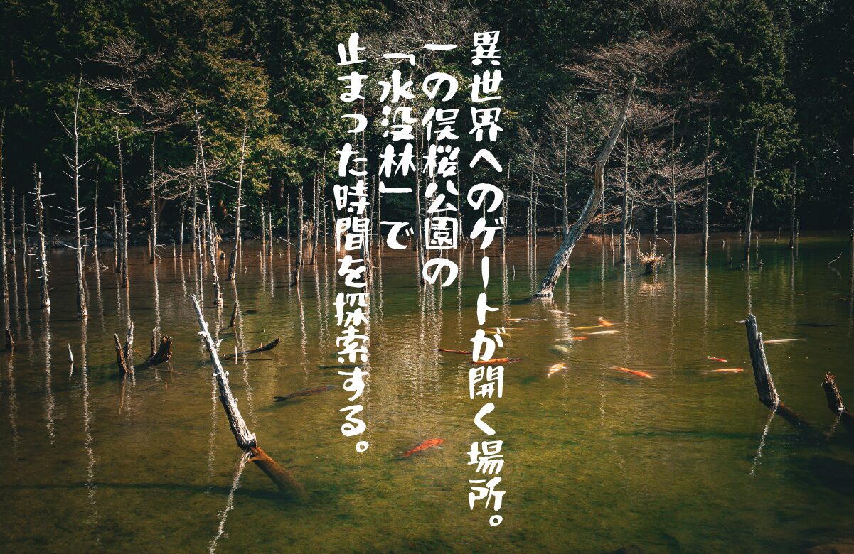 異世界へのゲートが開く場所。一の俣桜公園の「水没林」で止まった時間を探索する。【山口県】