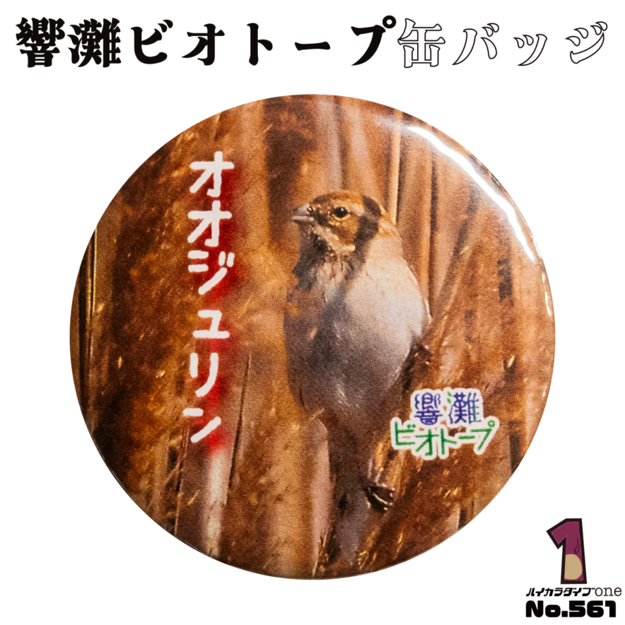 響灘ビオトープのガチャでゲットした缶バッジ
