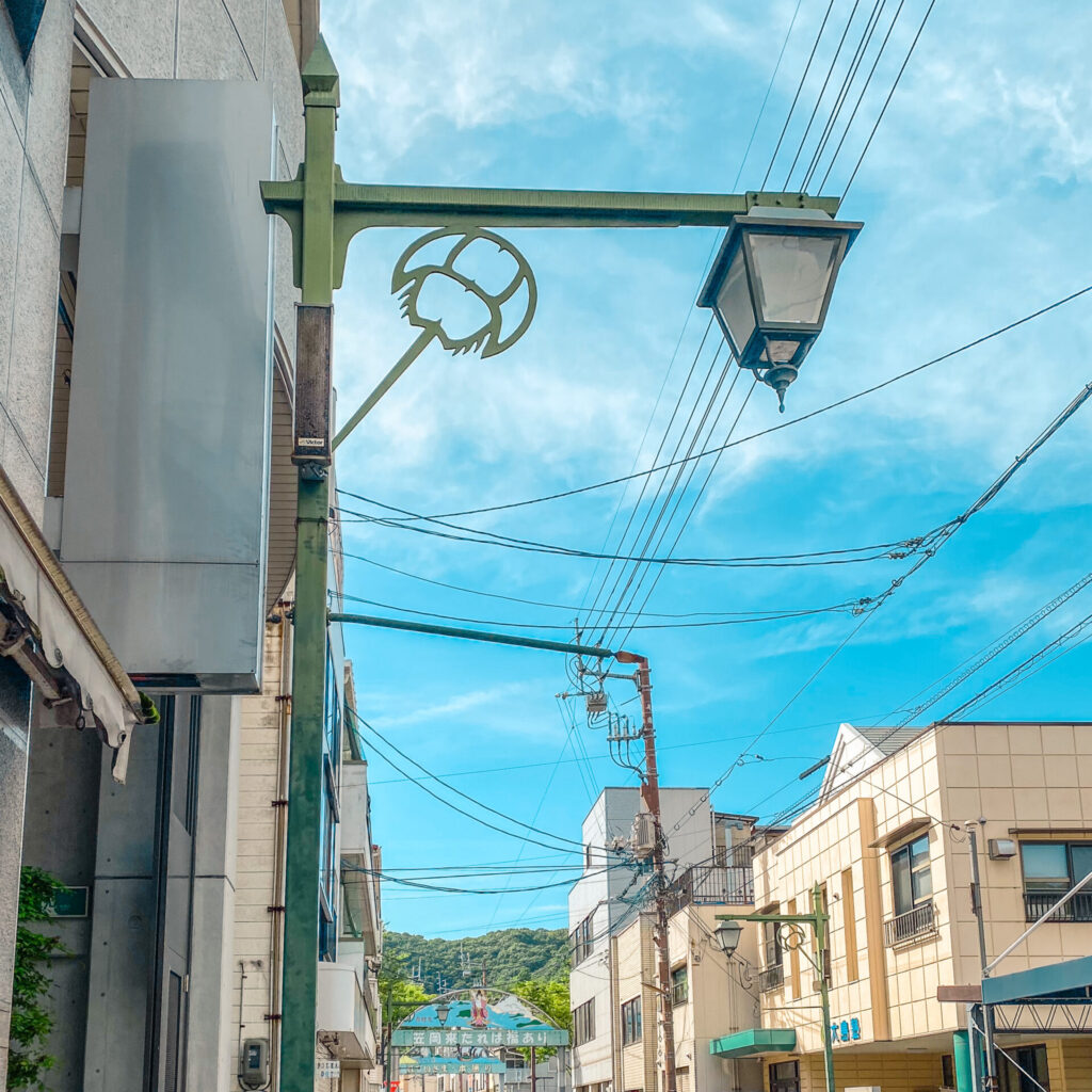 岡山県笠岡市-中央商店街 カブトガニの街灯
